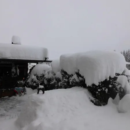 Gaestehaus Neumayer * Fieberbrunn